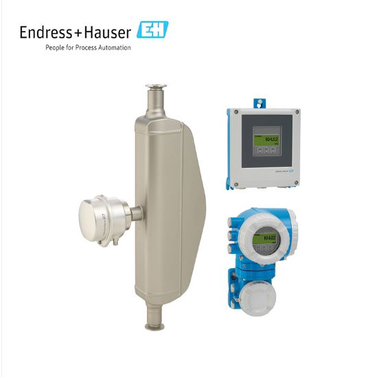 ENDRESS+HAUSER Proline Promass P 500 Coriolis flowmeter