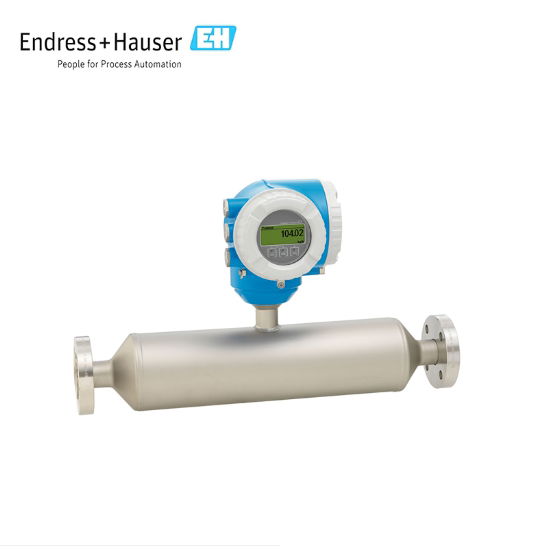 Endress+Hauser E+H Proline Promass I 300 Coriolis flowmeter