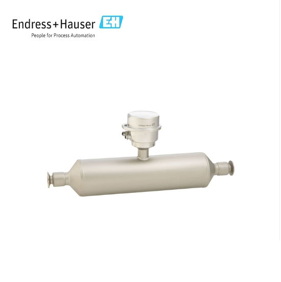 Endress+Hauser E+H Proline Promass I 100 Coriolis flowmeter