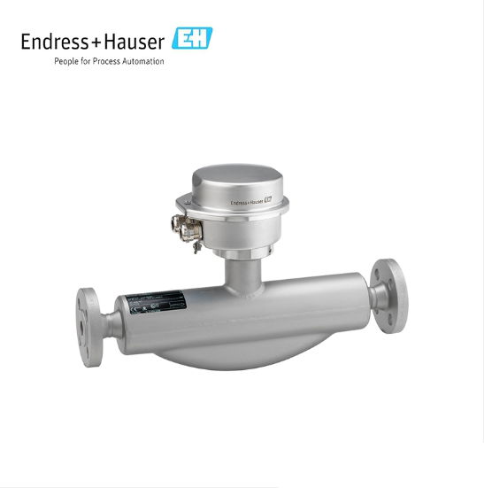 Endress+Hauser E+H Proline Promass F 100 Coriolis flowmeter