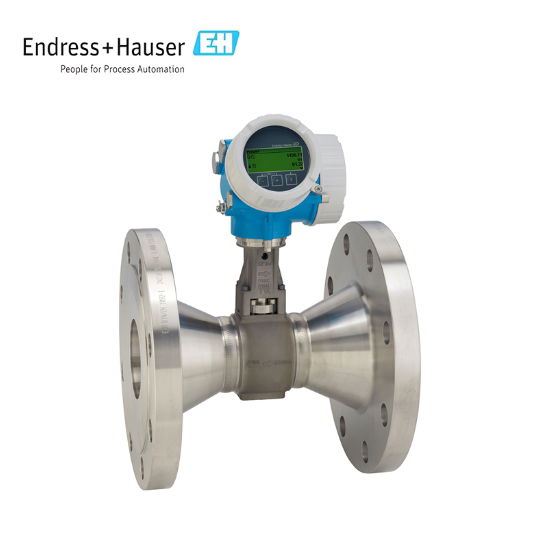 Endress+Hauser E+H Proline Prowirl R 200 vortex flowmeter