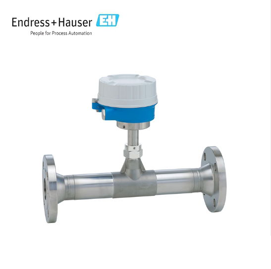 Endress+Hauser Proline t-mass F 500 thermal mass flowmeter