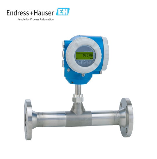 Endress+Hauser Proline t-mass F 300 thermal mass flowmeter