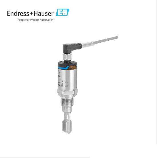 Endress+Hauser Vibronic Point level detection Liquiphant FTL31