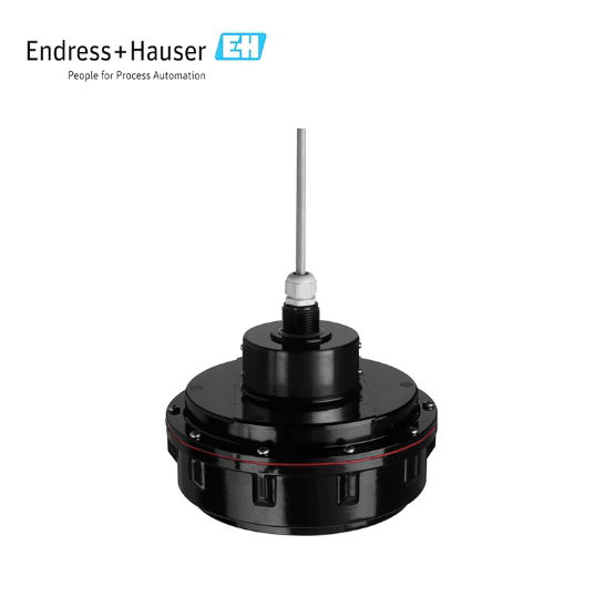 Endress+Huaser Ultrasonic measurement Time-of-Flight Prosonic FDU95