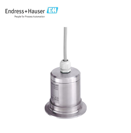 Endress+Hauser Ultrasonic measurement Time-of-Flight Prosonic FDU91F