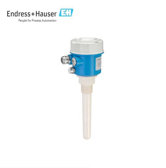 Endress+Hauser E+H Capacitance Point level detection Minicap FTC260