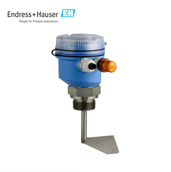 Endress+Hauser Rotary paddle point level switch FTE20