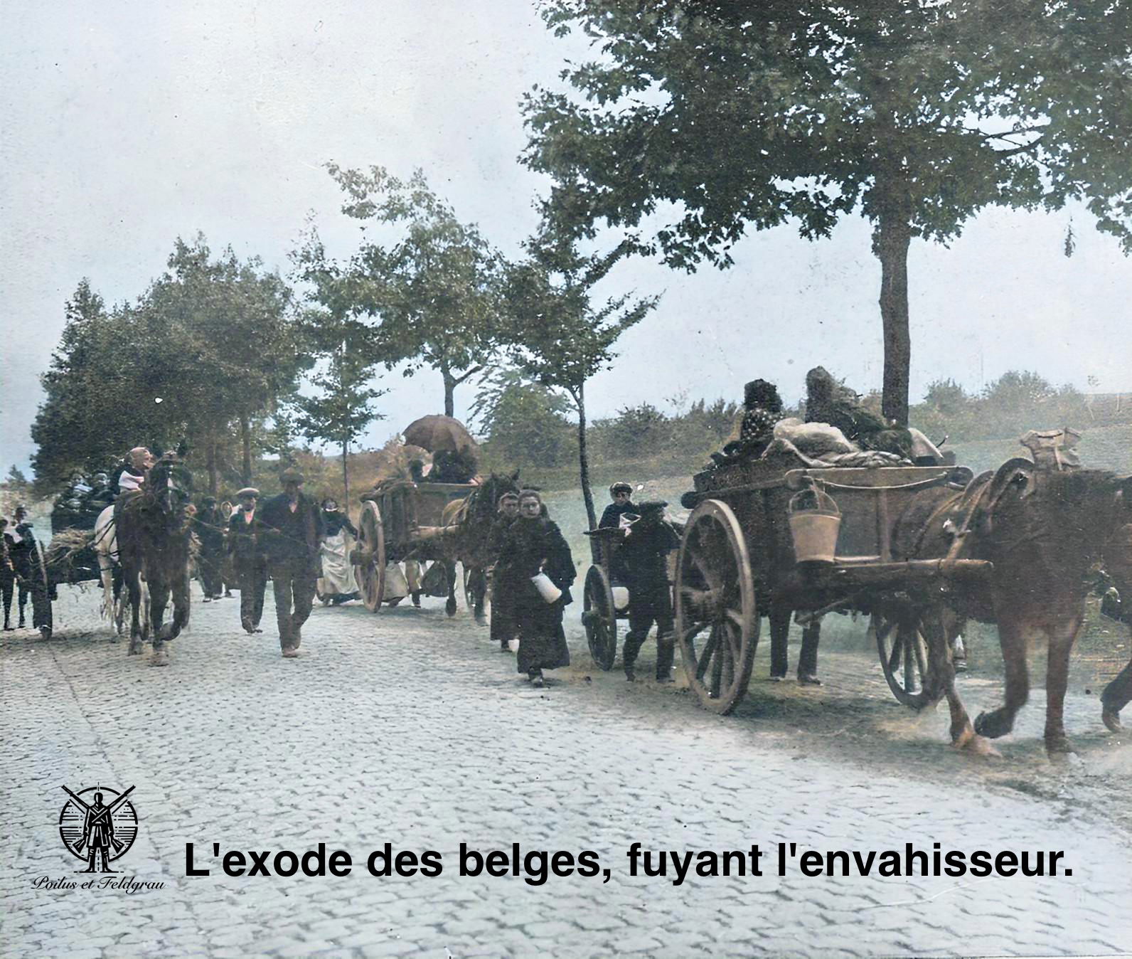 L'exode belge