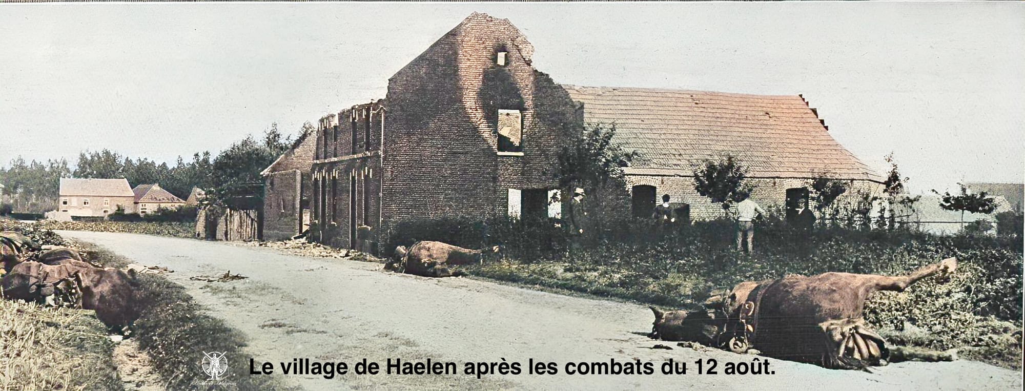 Le combat de Haelen - 12 août 1914