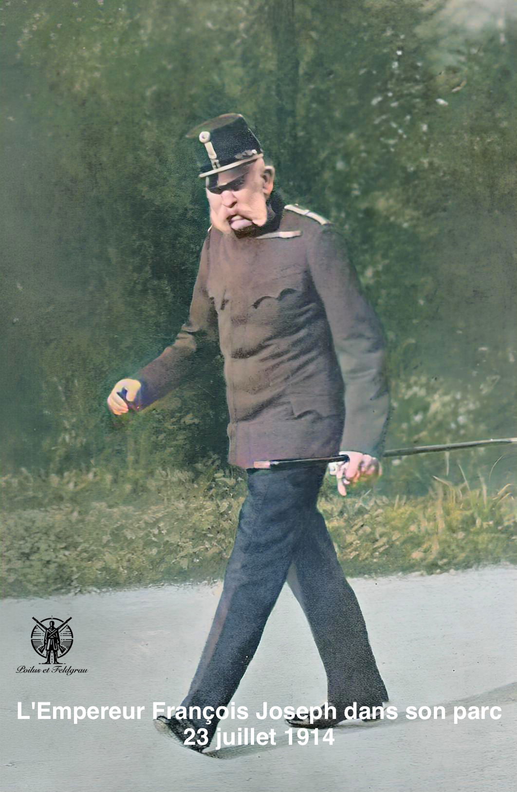 François-Joseph le 23 juillet 1914