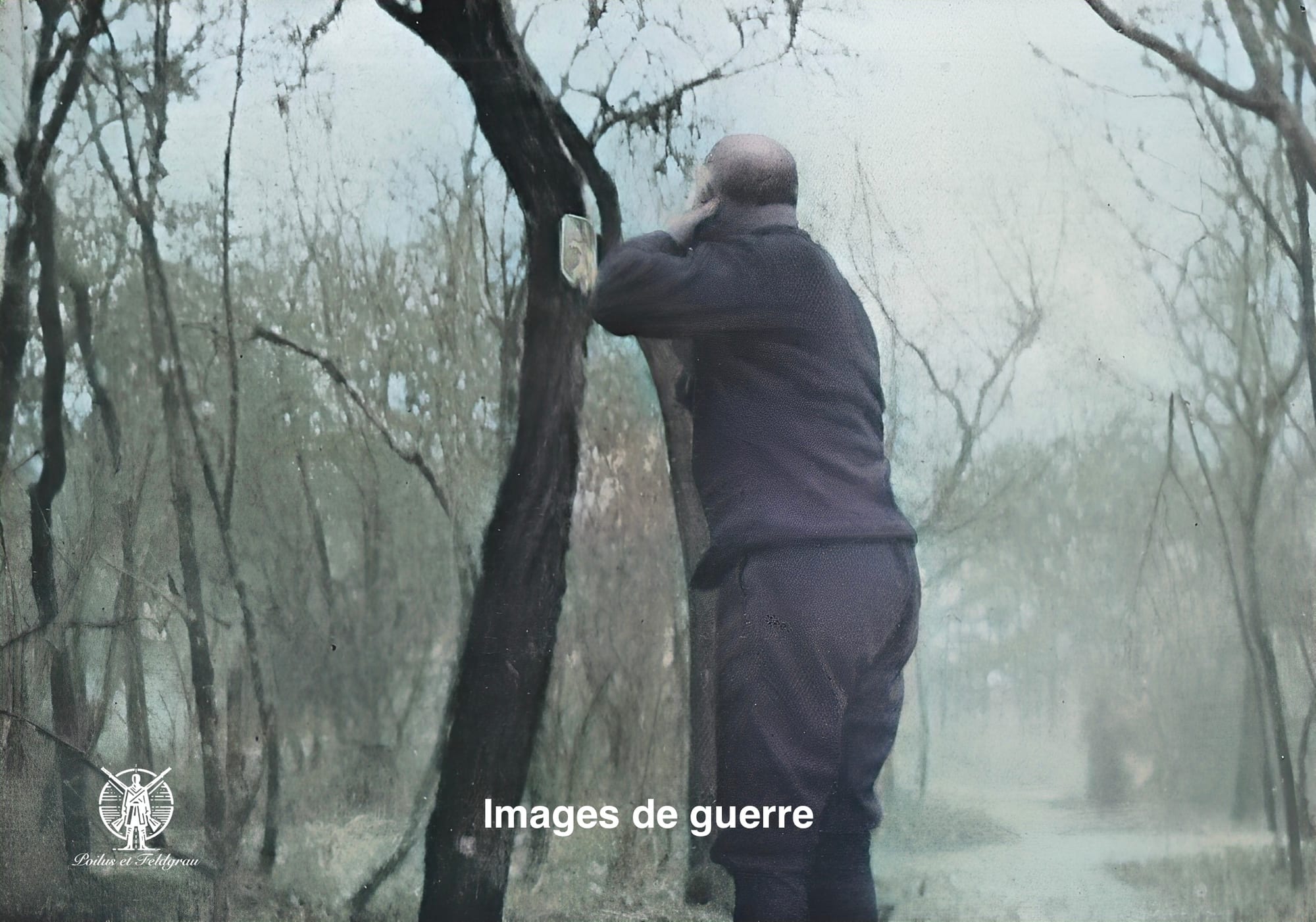 Rasage en forêt