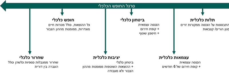 חופש כלכלי בר השגה