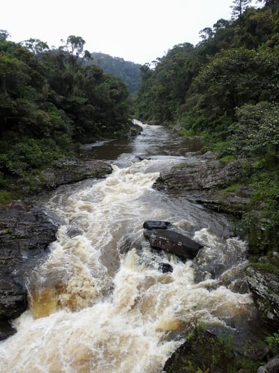 Eastern Madagascar