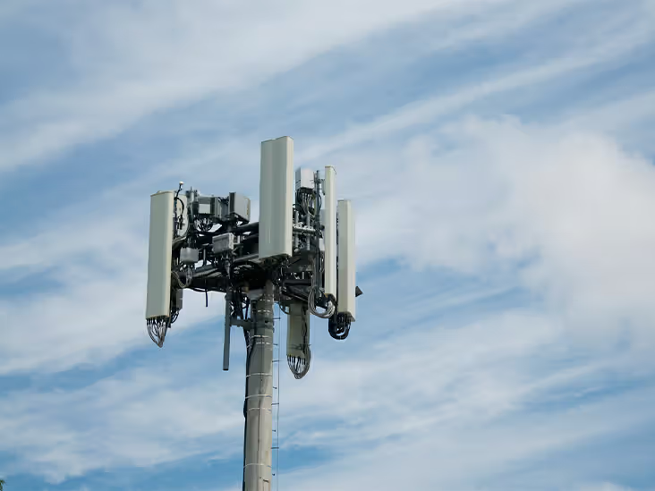 Health effects of Radiofrequency Electromagnetic Fields (RF EMF)