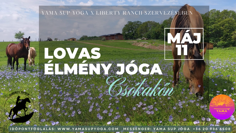 Lovas élmény jóga & önismeret