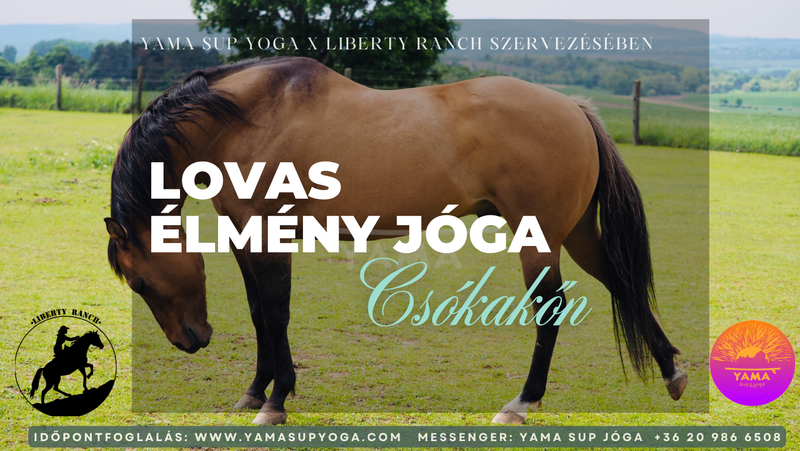 Lovas élmény jóga