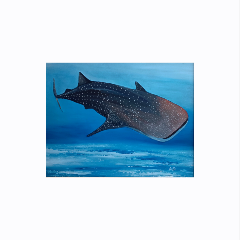 Whale Shark. SOLD