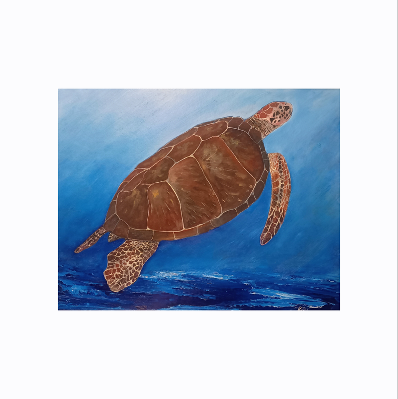 Green Turtle. $350