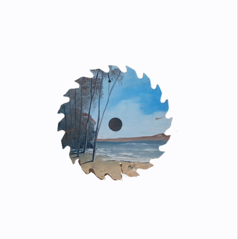12. Circular saw $35