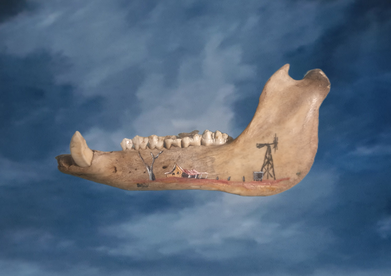 13. Boar jaw bone $65