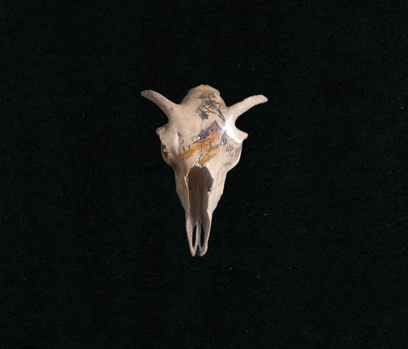 14. Goat skull $135.