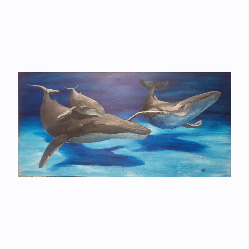 7. Rv. Shallow Refuge. $350