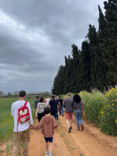 התנגדות לכריתה של מעל 2000 עצים בוגרים בתוכנית 1202 בהוד השרון