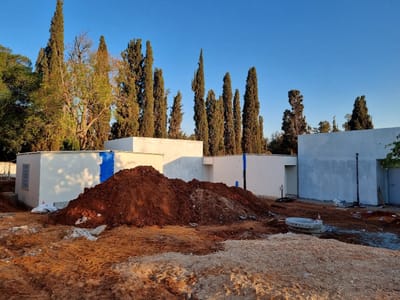 תלונה שניה על כריתה לא חוקית נוספת במתחם בית הנערה הוד השרון – שדרת הברושים