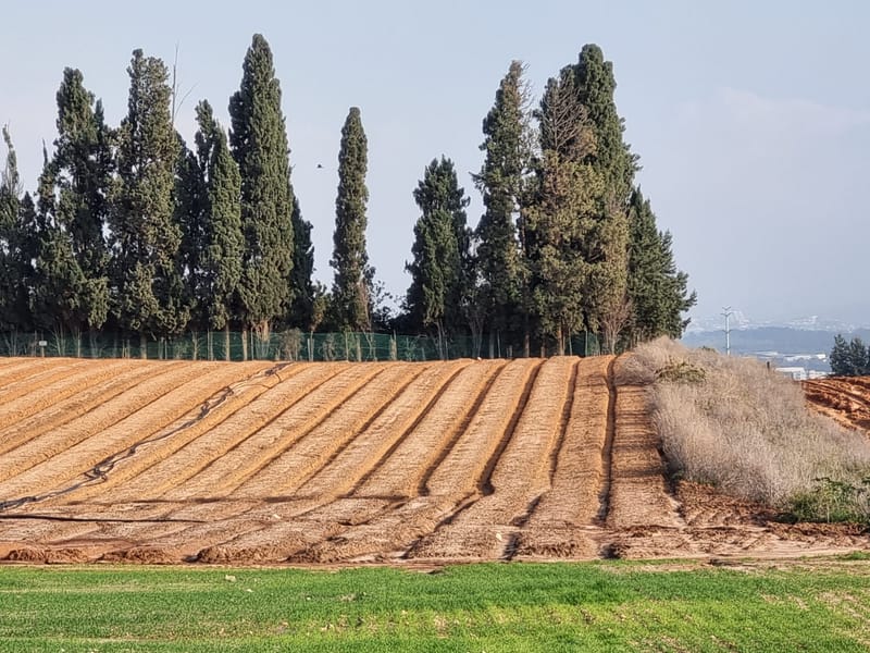 סיור שטח מרתק ומרהיב במתחם תוכנית 1202א