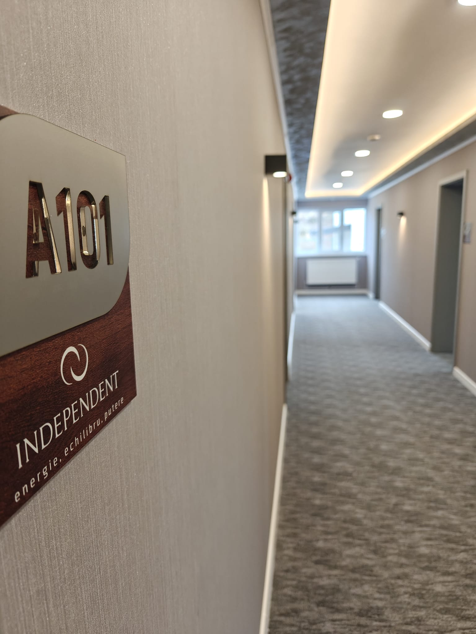 Interior Hol Corp A