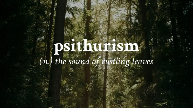 Psithurism — The Wind Whisper