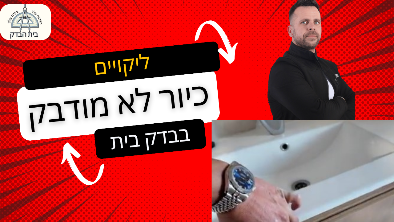 כיורים לא מקובעים ובלתי מודבקים לארון שירות