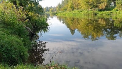 Działka z bezpośrednim dostępem do rzeki Wkry