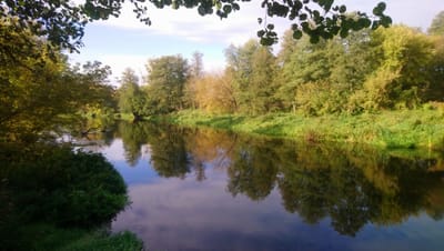 Działka budowlana o powierzchni 4828m2 Popielżyn-Zawady