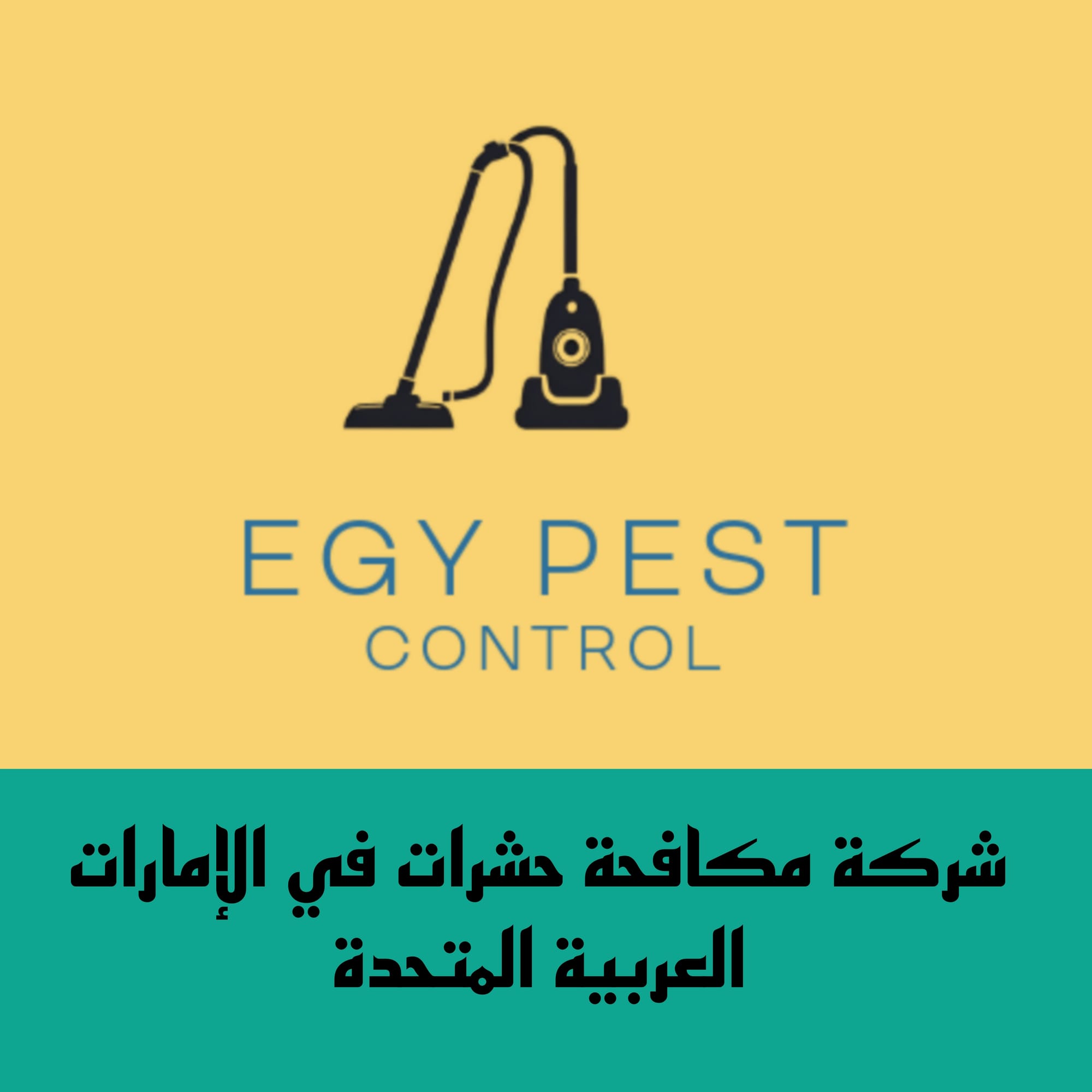 أهم 10 أسباب لاختيار شركة Egy Pest Control لمكافحة الحشرات في الإمارات العربية المتحدة