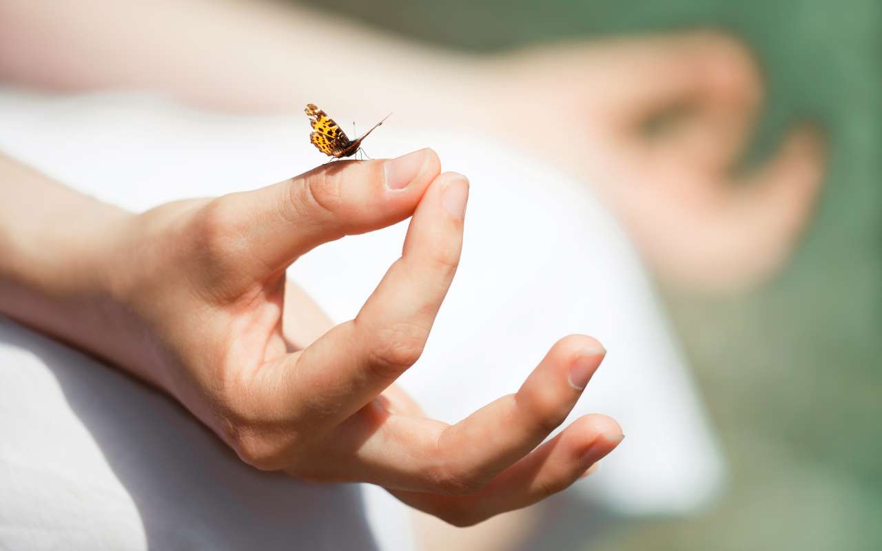 Khóa Thiền Vipassana: Hành Trình Tìm Kiếm Bình An và Sự Giác Ngộ