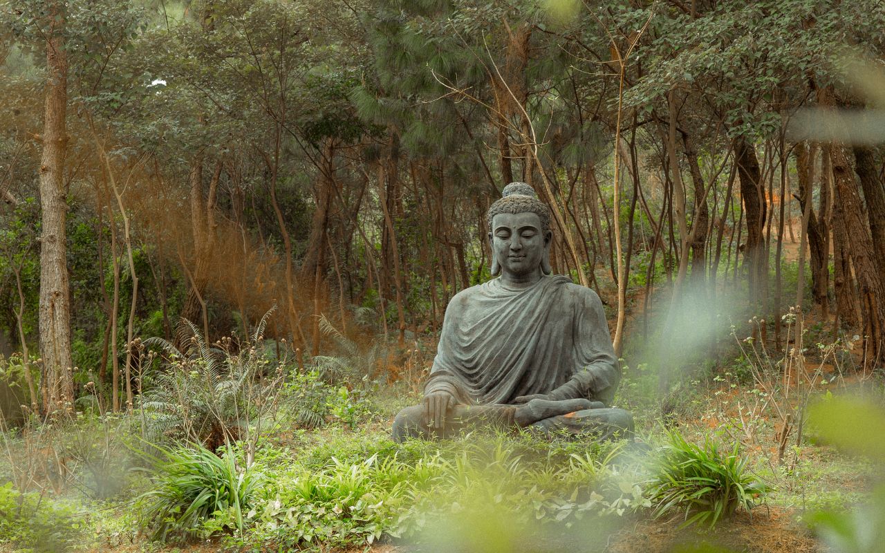 Thiền Vipassana Bốn Nền Tảng Chánh Niệm: Cách Thực Hành và Lợi Ích Tuyệt Vời