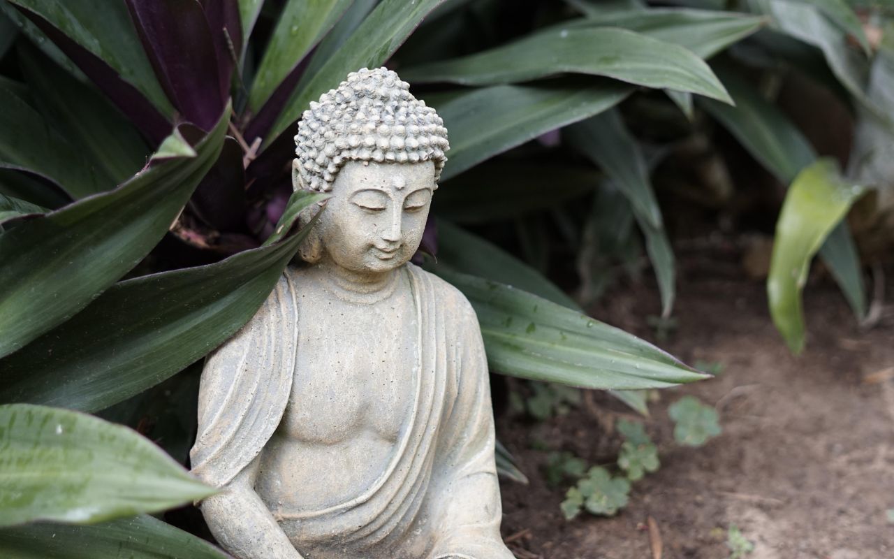 Thiền Vipassana Cho Người Mới Bắt Đầu: Hướng Dẫn Chi Tiết và Lợi Ích