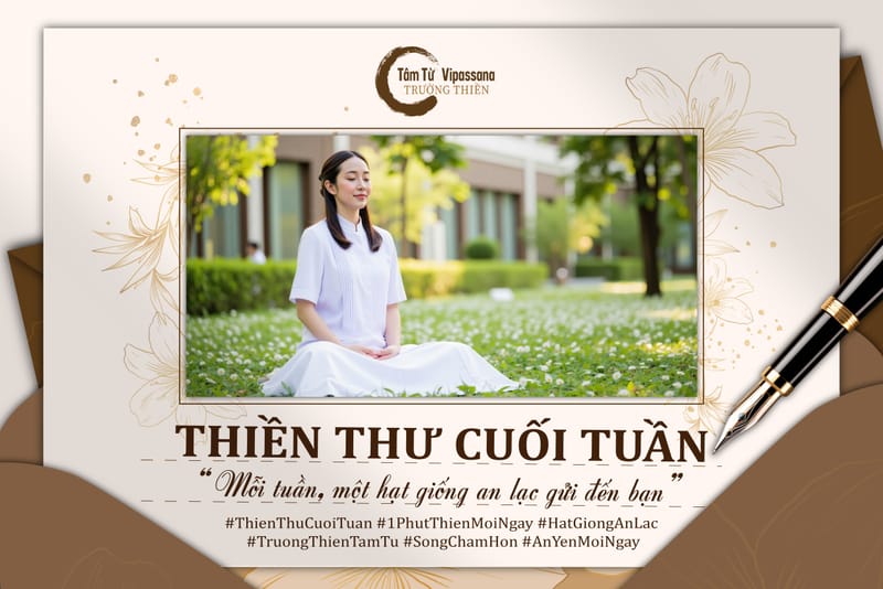 Thiền Thư Cuối Tuần – Hạt Giống An Lạc Từ Trường Thiền Tâm Từ Vipassana