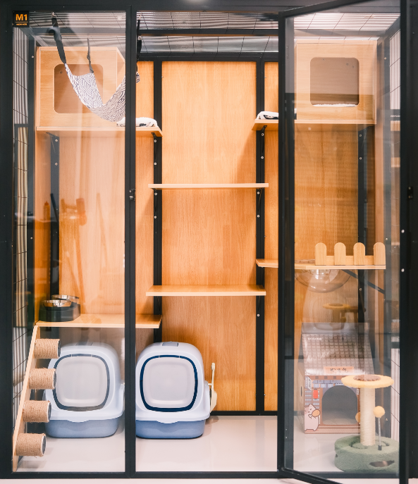 Deluxe Room （Suitable for 1 to 2 cats）