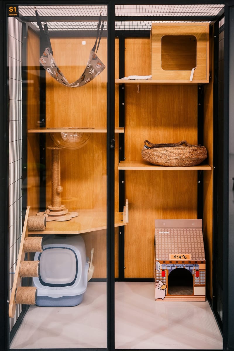 Standard Room（Suitable for 1 ）