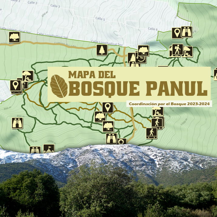 Mapa de Senderos y Pistas del Bosque Panul