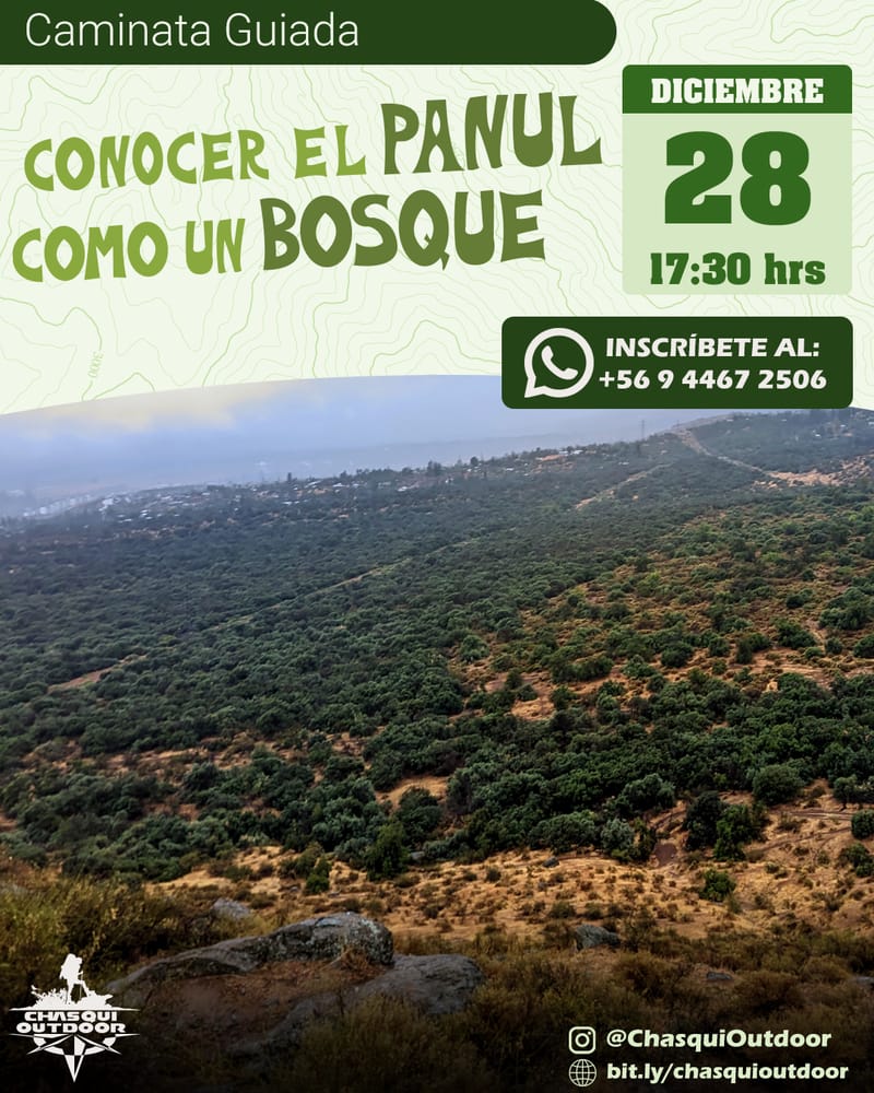 Caminata Guiada: CONOCER EL PANUL COMO UN BOSQUE