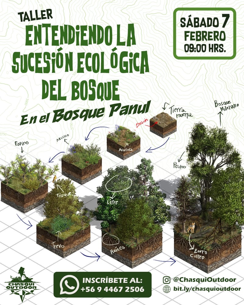 Taller de Sucesión Ecológica en el Bosque Panul
