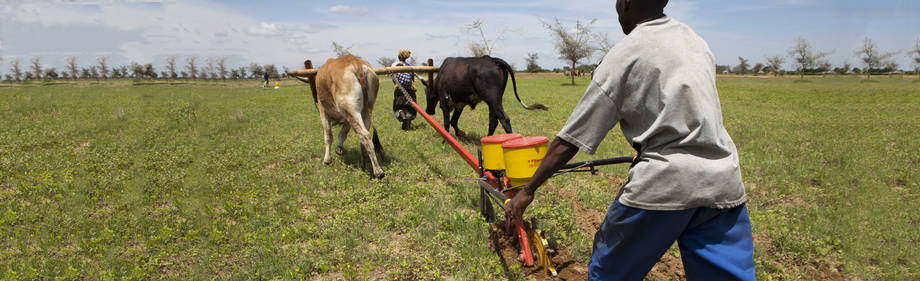 كيف يبدأ المزارع الزراعة المحافظة على الموارد؟