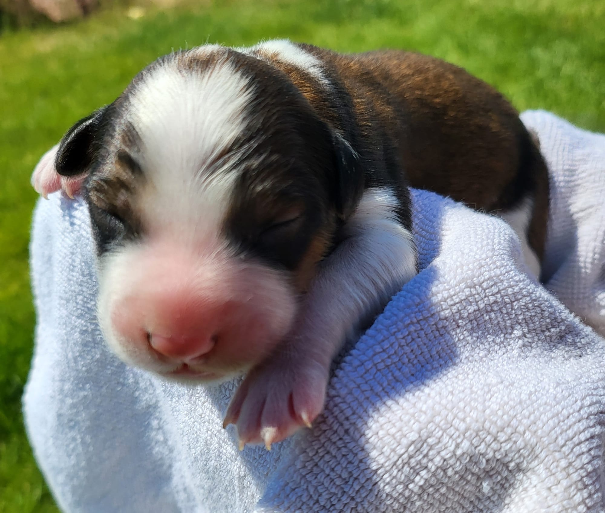 10th Born Male
