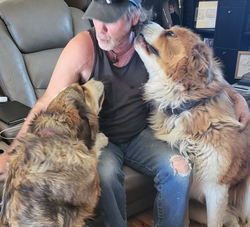 Groot and Gertie Lap Time with Patrick thumbnail