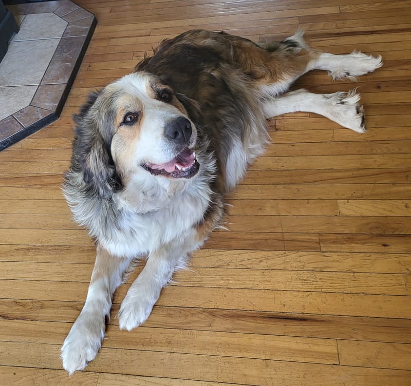Gertie
