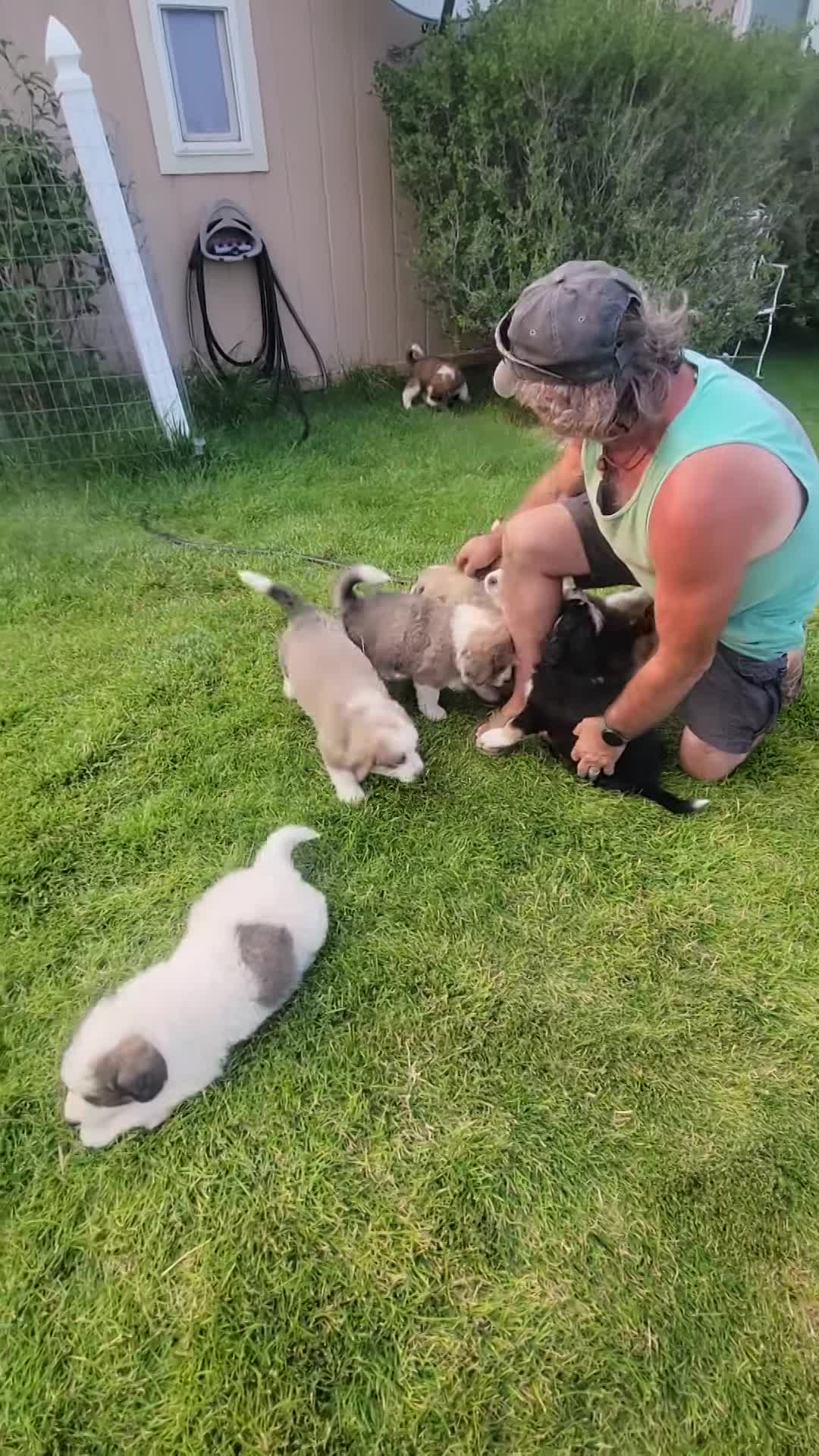 6 Weeks Old Gone Wild thumbnail
